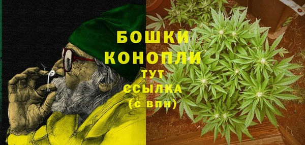 соль ск Богданович