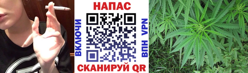 Бошки Шишки план  Купить где  Меленки 