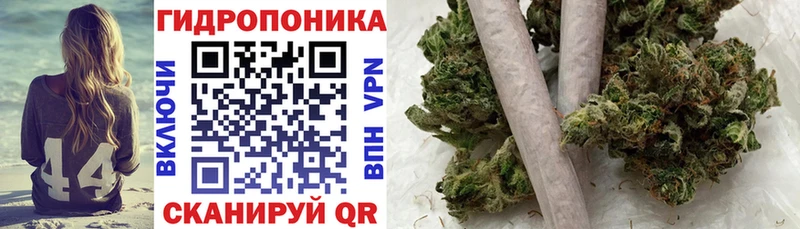 Бошки марихуана сатива Меленки